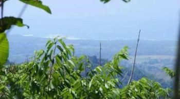 Finca para Ganadería en venta en Quebrada Amarilla, Garabito, Puntarenas, Costa Rica — foto 7