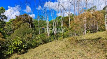 Terreno General en venta en San Luis De Morete, Pérez Zeledón, San José, Costa Rica — foto 7