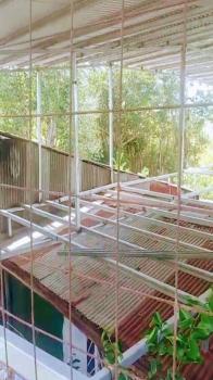 Casa una Planta en venta en Candelaria, Palmares, Alajuela, Costa Rica — foto 3