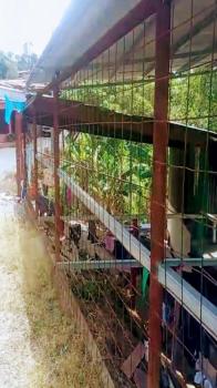 Casa una Planta en venta en Candelaria, Palmares, Alajuela, Costa Rica — foto 4