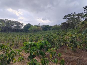 Terreno para Desarrollo en venta en La Arena De Grecia, Grecia, Alajuela, Costa Rica — foto 3