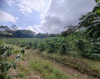 Terreno para Desarrollo en venta en La Arena De Grecia, Grecia, Alajuela, Costa Rica — foto 4