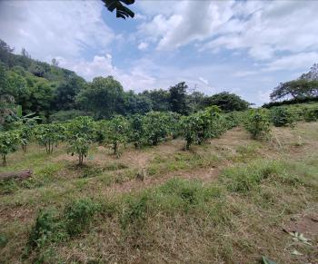 Terreno para Desarrollo en venta en La Arena De Grecia, Grecia, Alajuela, Costa Rica — foto 5