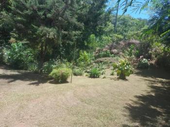 Fincas Uso Mixto en venta en San Pablo De Tres Equis, Turrialba, Cartago, Costa Rica — foto 2