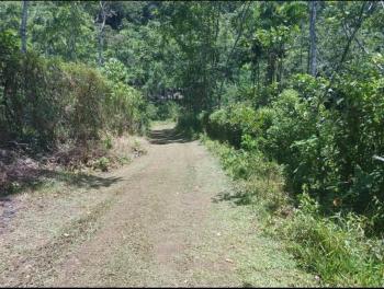 Fincas Uso Mixto en venta en San Pablo De Tres Equis, Turrialba, Cartago, Costa Rica — foto 4
