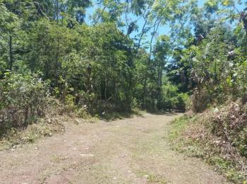 Fincas Uso Mixto en venta en San Pablo De Tres Equis, Turrialba, Cartago, Costa Rica — foto 5