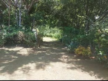 Fincas Uso Mixto en venta en San Pablo De Tres Equis, Turrialba, Cartago, Costa Rica — foto 6
