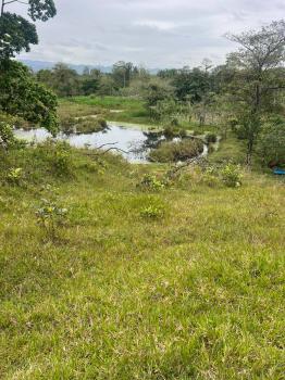 Spectacular Farm For Sale in Guatuso de Alajuela