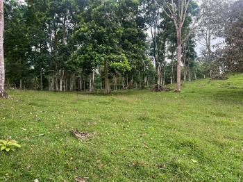Fincas Uso Mixto en venta en Buena Vista, Guatuso, Alajuela, Costa Rica — foto 2