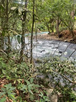 Fincas Uso Mixto en venta en Buena Vista, Guatuso, Alajuela, Costa Rica — foto 3