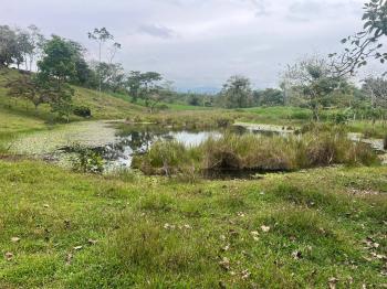 Fincas Uso Mixto en venta en Buena Vista, Guatuso, Alajuela, Costa Rica — foto 4