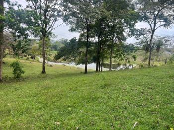 Fincas Uso Mixto en venta en Buena Vista, Guatuso, Alajuela, Costa Rica — foto 5