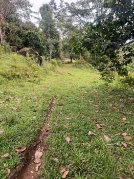 Fincas Uso Mixto en venta en Buena Vista, Guatuso, Alajuela, Costa Rica — foto 6