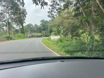 Fincas Uso Mixto en venta en Buena Vista, Guatuso, Alajuela, Costa Rica — foto 7