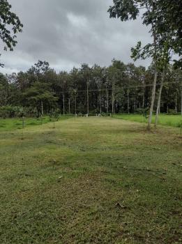 Terreno Comercial en venta en Ángeles, San Carlos, Alajuela, Costa Rica — foto 2