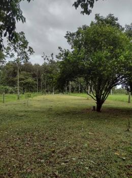 Terreno Comercial en venta en Ángeles, San Carlos, Alajuela, Costa Rica — foto 4