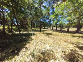 Terreno Para Vivienda en venta en Residencial Montisel, Alajuela, Costa Rica — foto 18