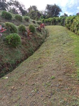 Terreno Para Vivienda en venta en Concepción, San Ramón, Alajuela, Costa Rica — foto 3