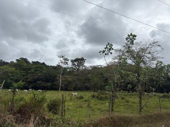 Mixed Use Land for sale or rent in Carbón, Talamanca, Limón, Costa Rica — photo 3