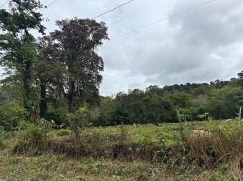 Mixed Use Land for sale or rent in Carbón, Talamanca, Limón, Costa Rica — photo 4