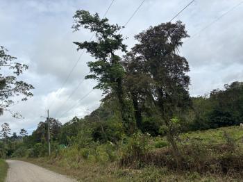 Mixed Use Land for sale or rent in Carbón, Talamanca, Limón, Costa Rica — photo 5