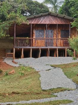Cabaña en venta en Quebradas, Pérez Zeledón, San José, Costa Rica — foto 2