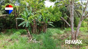 Raw Land for sale in El Pilar De Cajon, Pérez Zeledón, San José, Costa Rica — photo 4