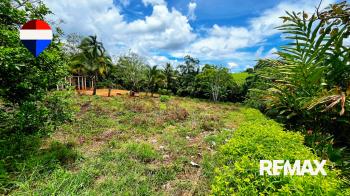 Raw Land for sale in El Pilar De Cajon, Pérez Zeledón, San José, Costa Rica — photo 5