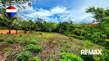 Raw Land for sale in El Pilar De Cajon, Pérez Zeledón, San José, Costa Rica — photo 6