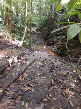 Mixed Use Land for sale in Jalisco, Colinas, Buenos Aires, Puntarenas, Costa Rica — photo 2