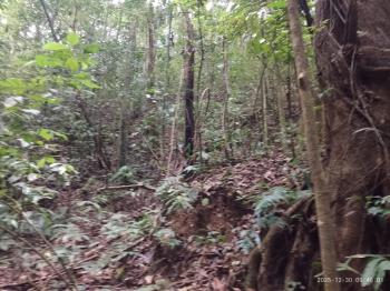 Mixed Use Land for sale in Jalisco, Colinas, Buenos Aires, Puntarenas, Costa Rica — photo 3