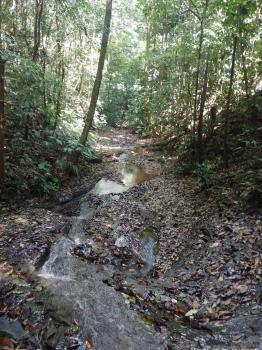 Mixed Use Land for sale in Jalisco, Colinas, Buenos Aires, Puntarenas, Costa Rica — photo 5
