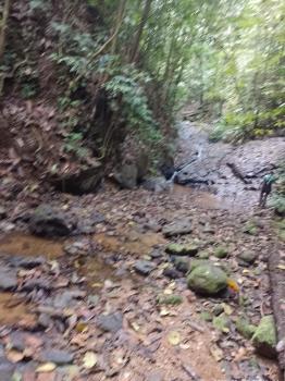 Mixed Use Land for sale in Jalisco, Colinas, Buenos Aires, Puntarenas, Costa Rica — photo 7