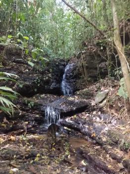 Finca Con 5 Nacientes de Agua, 27 Hectáreas de Montaña Virgen