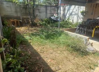 Patio trasero