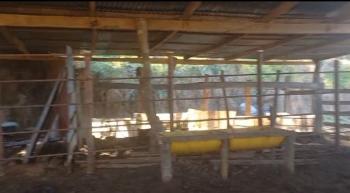 Finca para Ganadería en venta en Piedades Sur, San Ramón, Alajuela, Costa Rica — foto 3