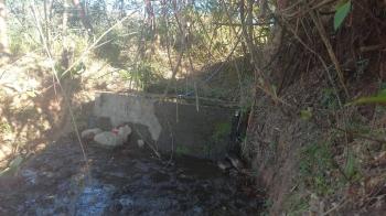 Finca para Ganadería en venta en Piedades Sur, San Ramón, Alajuela, Costa Rica — foto 4