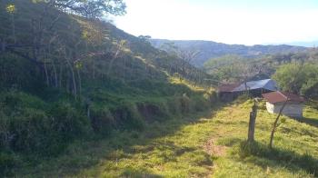 Finca para Ganadería en venta en Piedades Sur, San Ramón, Alajuela, Costa Rica — foto 5