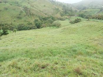 Finca para Agricultura en venta en San Antonio De Barranca, Naranjo, Alajuela, Costa Rica — foto 2