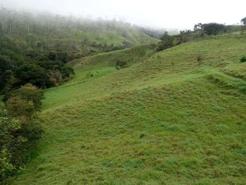 Finca para Agricultura en venta en San Antonio De Barranca, Naranjo, Alajuela, Costa Rica — foto 3