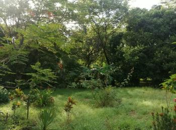 Casa una Planta en venta en Salitral De Bagaces, Bagaces, Guanacaste, Costa Rica — foto 2