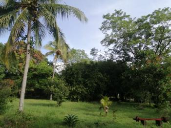 Casa una Planta en venta en Salitral De Bagaces, Bagaces, Guanacaste, Costa Rica — foto 4