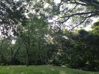 Casa una Planta en venta en Salitral De Bagaces, Bagaces, Guanacaste, Costa Rica — foto 5