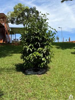 Casa dos Plantas en venta en Cajon, Pérez Zeledón, San José, Costa Rica — foto 27