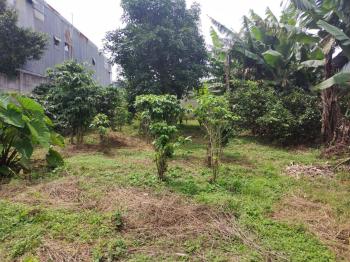 Terreno Para Vivienda en venta en Santo Tomás, Santo Domingo, Heredia, Costa Rica — foto 3