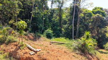 Development Land for sale in Quizarrá, Pérez Zeledón, San José, Costa Rica — photo 3