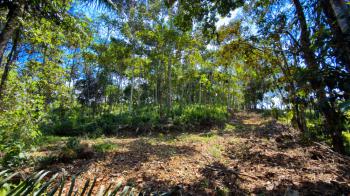 Development Land for sale in Quizarrá, Pérez Zeledón, San José, Costa Rica — photo 6