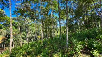 Development Land for sale in Quizarrá, Pérez Zeledón, San José, Costa Rica — photo 7