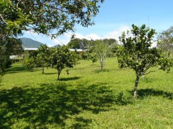 Triplex en venta en San Isidro, Heredia, Costa Rica — foto 2