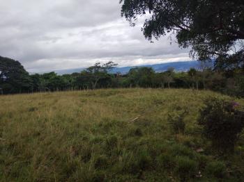 Solo Bueno en San Isidro de Heredia